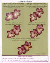 Leaves and Violets Worksheet