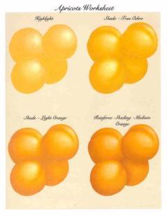 Apricots Worksheet