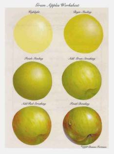 Green Apples Worksheet