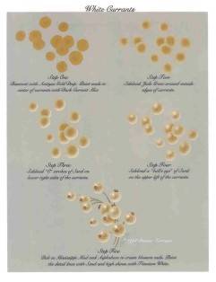 White Currants Worksheet