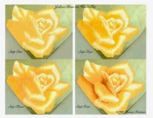 Yellow Rose Worksheet